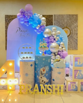 Frozen Theme Kids Birthday Setup