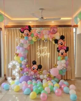 Mickey Minnie Ring Setup