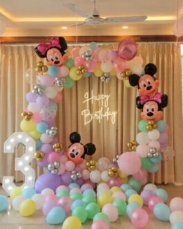 Mickey Minnie Ring Setup