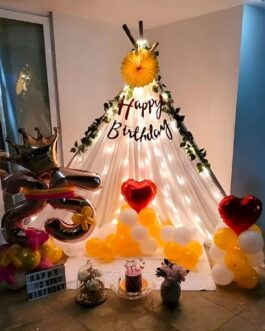 Trendy Canopy Decoration for Birthday