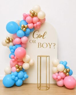 Gender Reveal Backdrop with Pink & Blue Balloon Arch