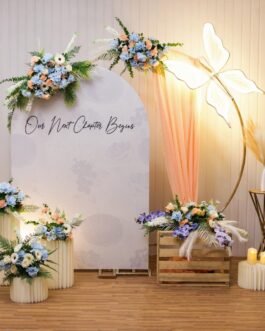 Butterfly & Beautiful Colors Decor on Engagement