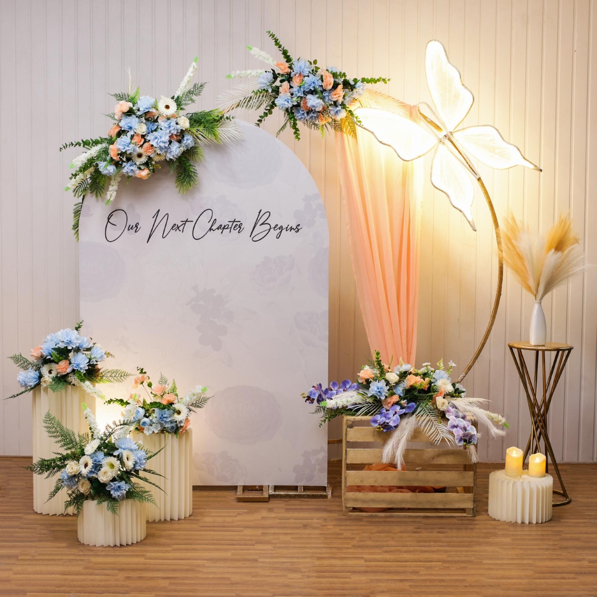 Butterfly & Beautiful Colors Decor on Engagement